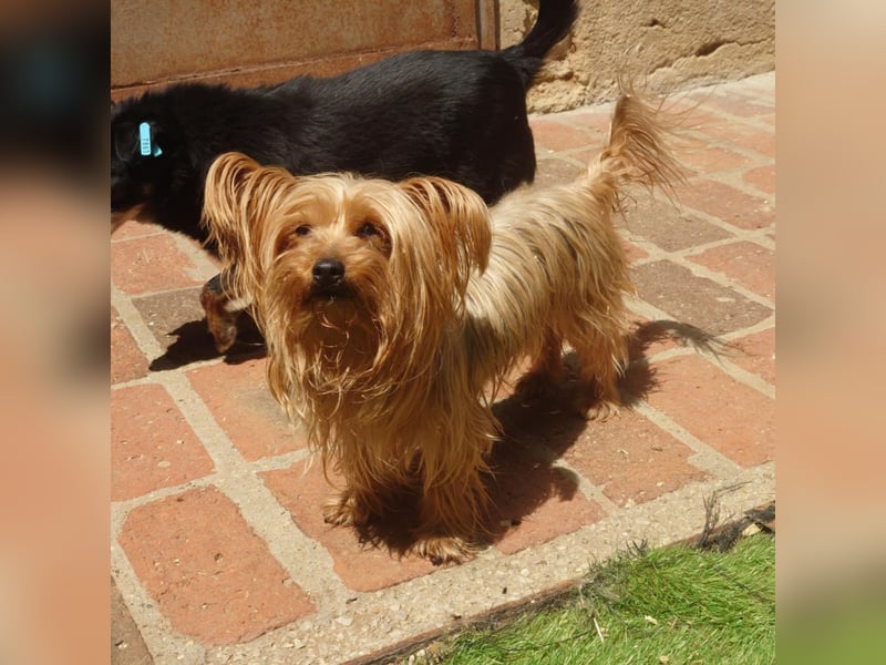 Gaby