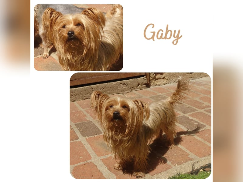 Gaby