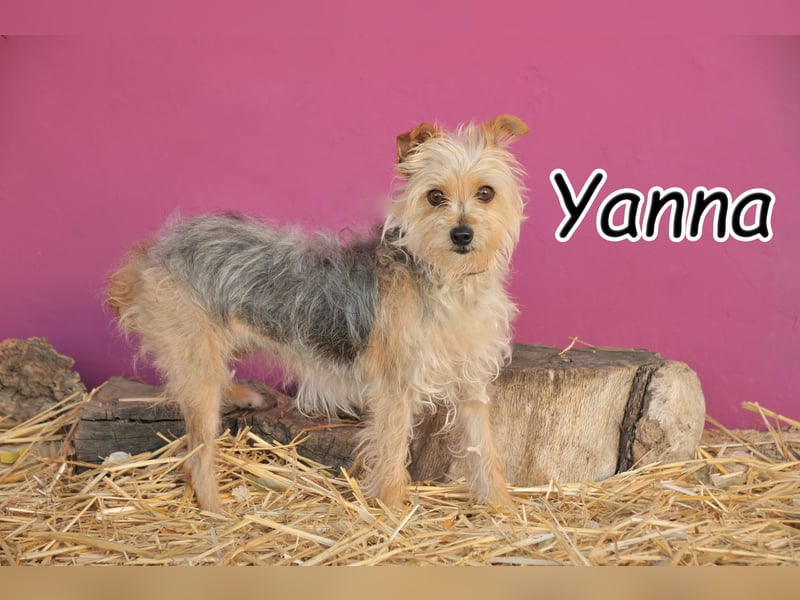 Haben Sie Lust, Yanna auf ihrem Weg zu begleiten?