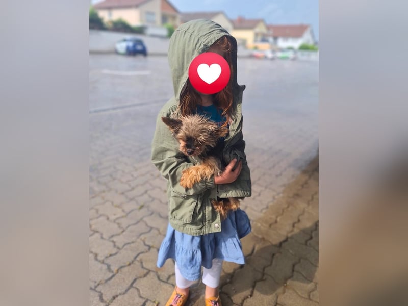 Ivy - selbstsicher und offen
