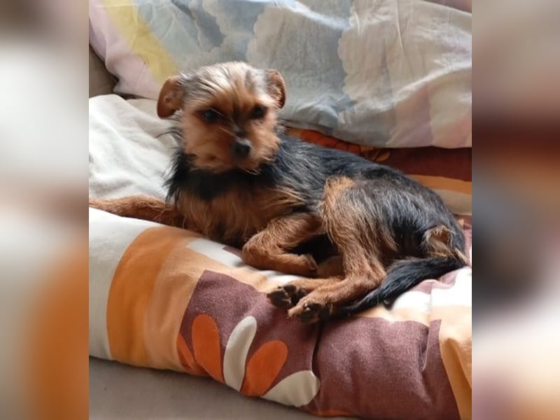 Molly S261 ist zuckersüß und sanft