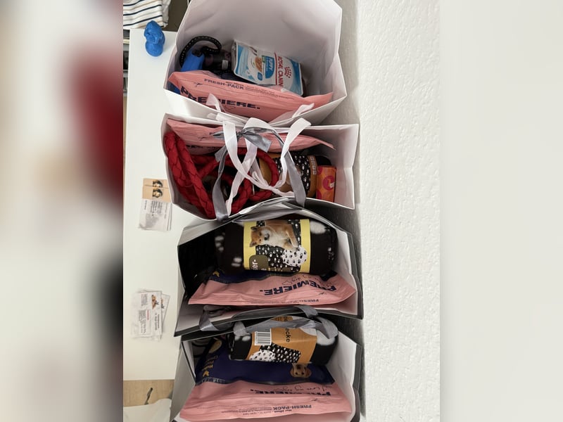 Kleine Fellnasen suchen liebevolle Familien