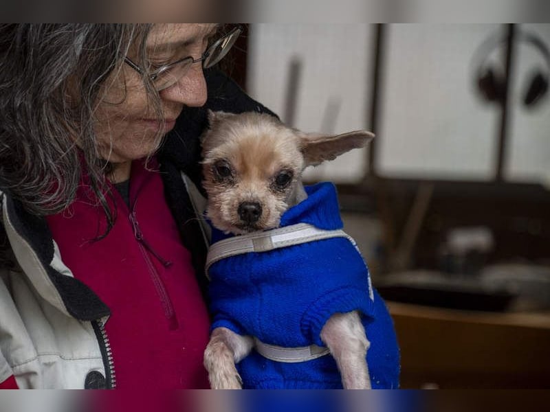 CALIMERO-wer hat Herz, Liebe und kuscheliges Körbchen für den süßen, kleinen Mann
