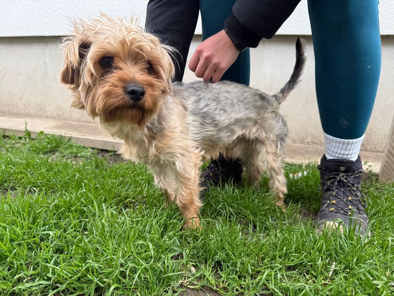 Archie- möchte mit dir die Welt sehen