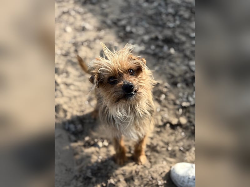 Benke wartet auf sein Happy End