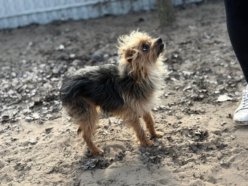 Benke wartet auf sein Happy End