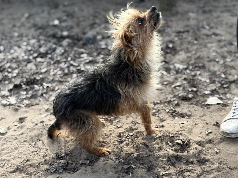 Benke wartet auf sein Happy End