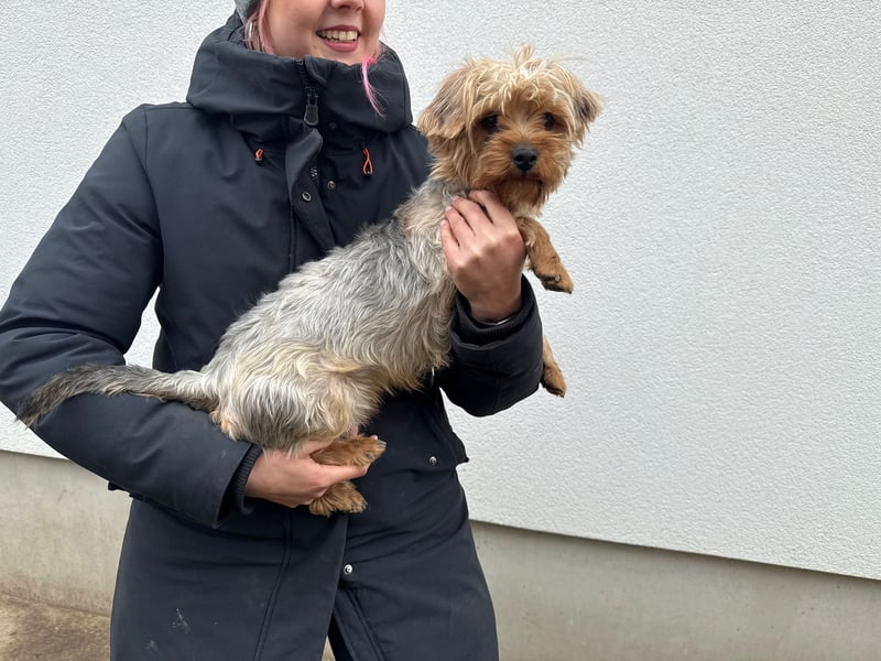 Archie- möchte mit dir die Welt sehen