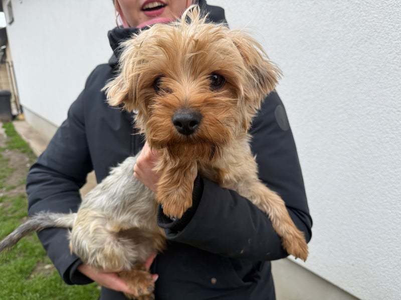 Archie- möchte mit dir die Welt sehen