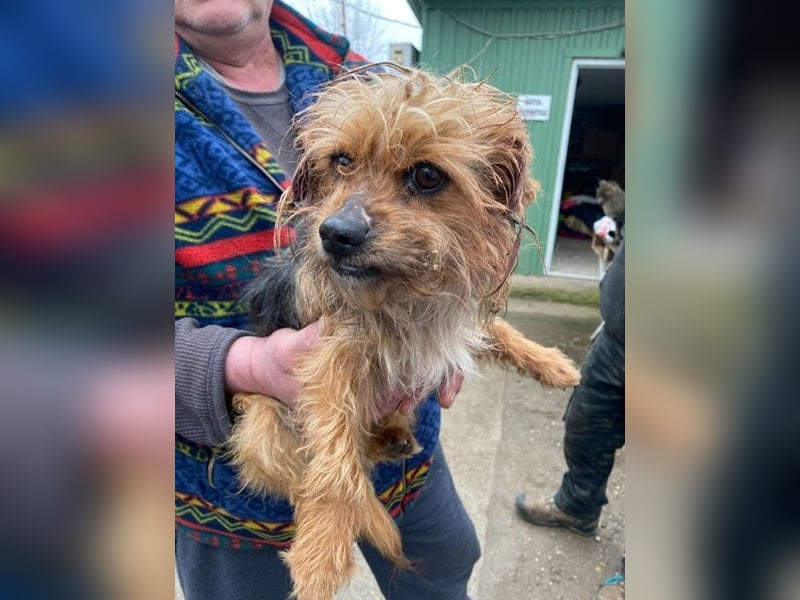 Benke wartet auf sein Happy End