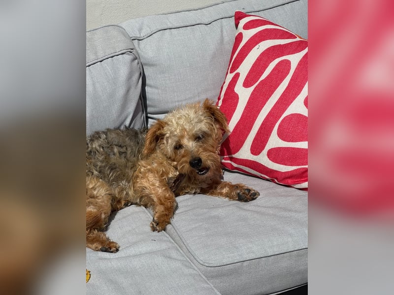 Rimini