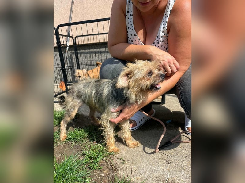 Polly, geboren 01.01.2021, 32cm sucht ihr eigenes Glück Polly, geboren 01.01.2021, 32cm sucht ihr eigenes Glück