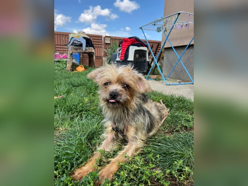 Polly, geboren 01.01.2021, 32cm sucht ihr eigenes Glück Polly, geboren 01.01.2021, 32cm sucht ihr eigenes Glück