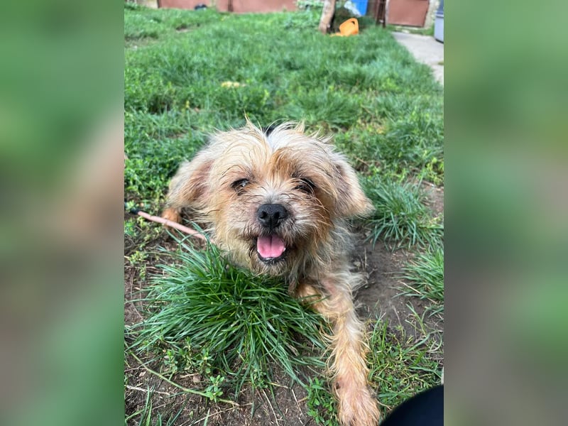 Polly, geboren 01.01.2021, 32cm sucht ihr eigenes Glück Polly, geboren 01.01.2021, 32cm sucht ihr eigenes Glück