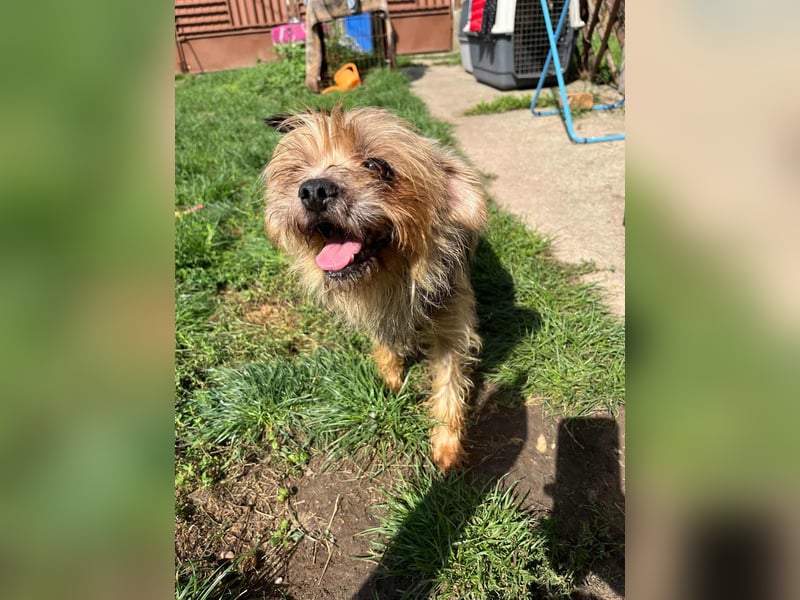 Polly, geboren 01.01.2021, 32cm sucht ihr eigenes Glück Polly, geboren 01.01.2021, 32cm sucht ihr eigenes Glück