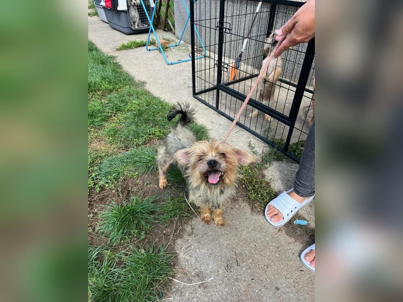 Polly, geboren 01.01.2021, 32cm sucht ihr eigenes Glück Polly, geboren 01.01.2021, 32cm sucht ihr eigenes Glück
