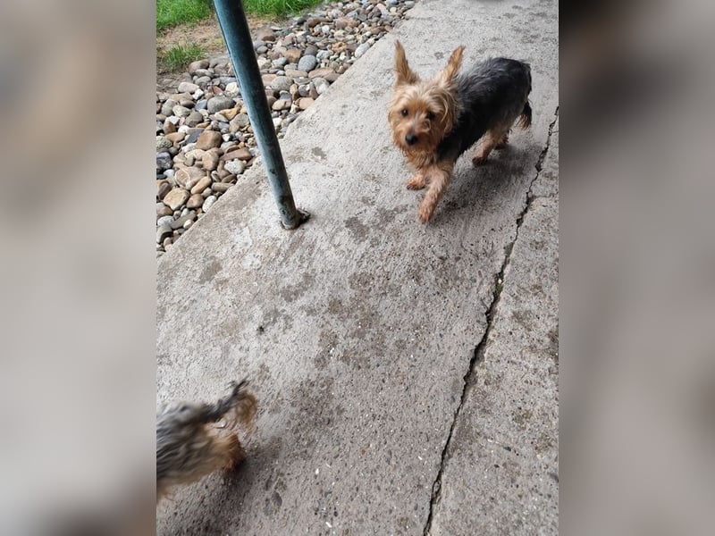 COCO - ich bin neugierig auf meine Familie und freue mich auf ein tolles neues Leben!