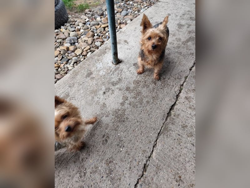 COCO - ich bin neugierig auf meine Familie und freue mich auf ein tolles neues Leben!