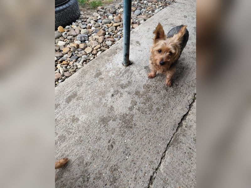 COCO - ich bin neugierig auf meine Familie und freue mich auf ein tolles neues Leben!