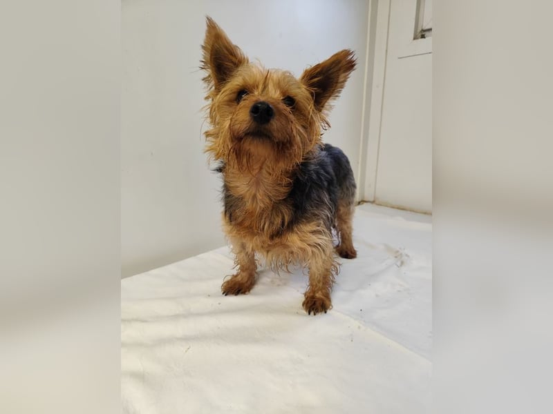 COCO - ich bin neugierig auf meine Familie und freue mich auf ein tolles neues Leben!