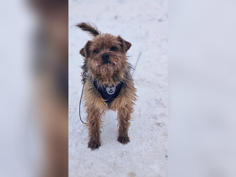 Jussis bisheriges Leben war schwer