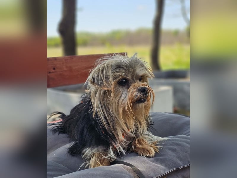 Esha ist neugierig und freundlich