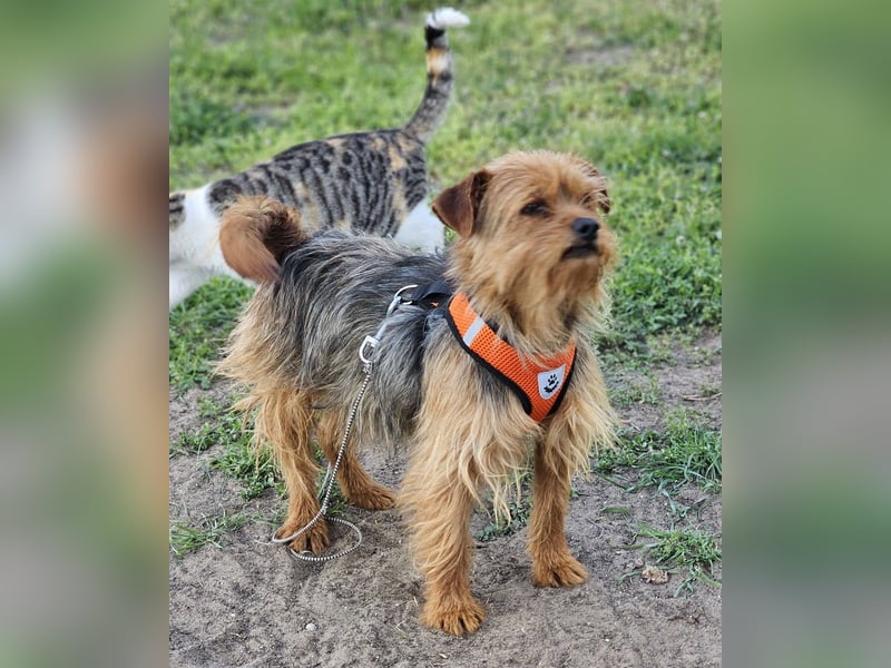 Jussis bisheriges Leben war schwer