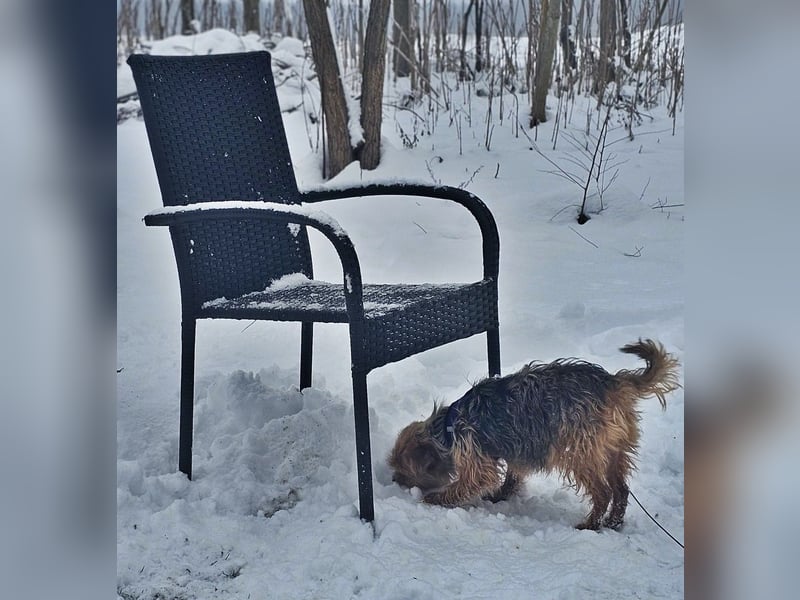 Jussis bisheriges Leben war schwer