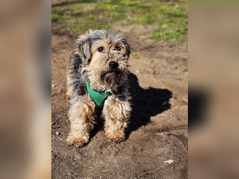 Sirid ist aktiv und neugierig