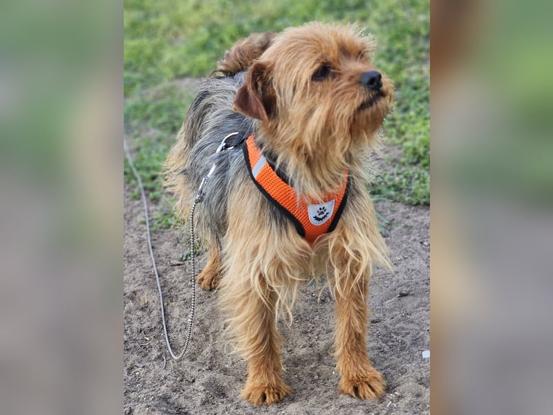 Jussis bisheriges Leben war schwer