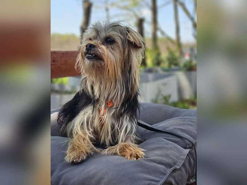 Esha ist neugierig und freundlich