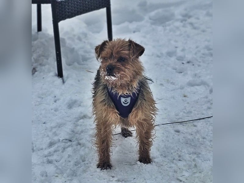 Jussis bisheriges Leben war schwer