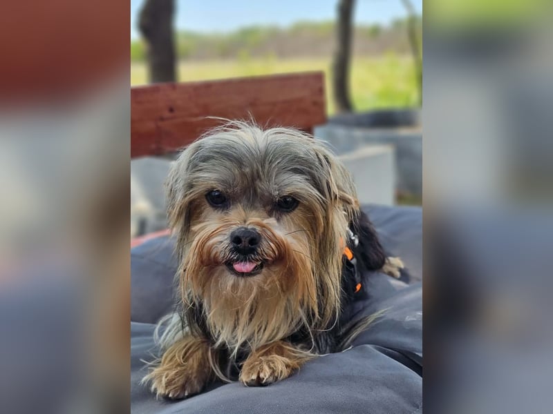 Esha ist neugierig und freundlich