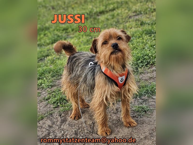 Jussis bisheriges Leben war schwer