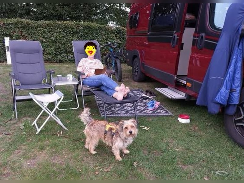 Leslie sucht aktive Menschen, die gerne was unternehmen (45739 Oer-Erkenschwick)