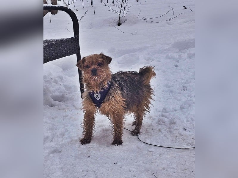 Jussis bisheriges Leben war schwer