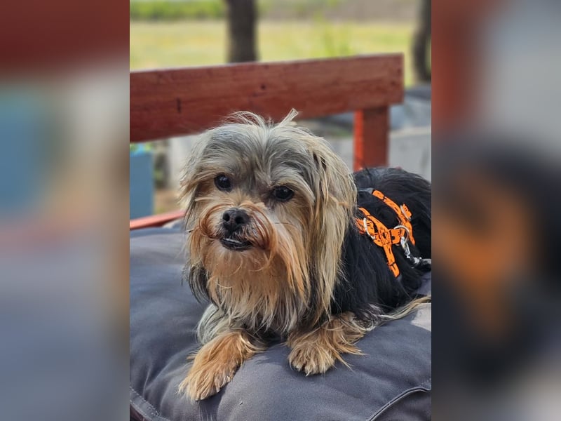 Esha ist neugierig und freundlich