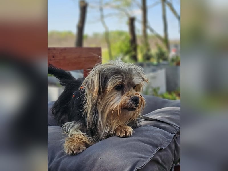 Esha ist neugierig und freundlich