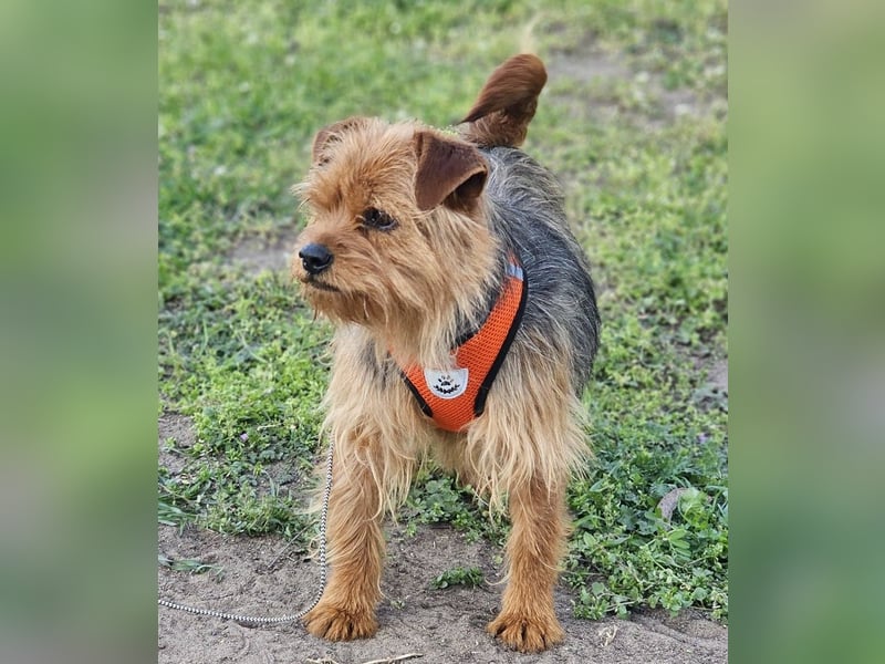 Jussis bisheriges Leben war schwer