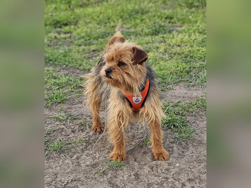 Jussis bisheriges Leben war schwer