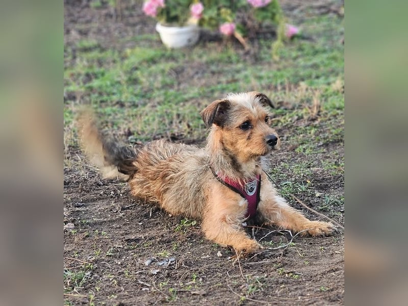 Neslin versucht alles richtig zu machen