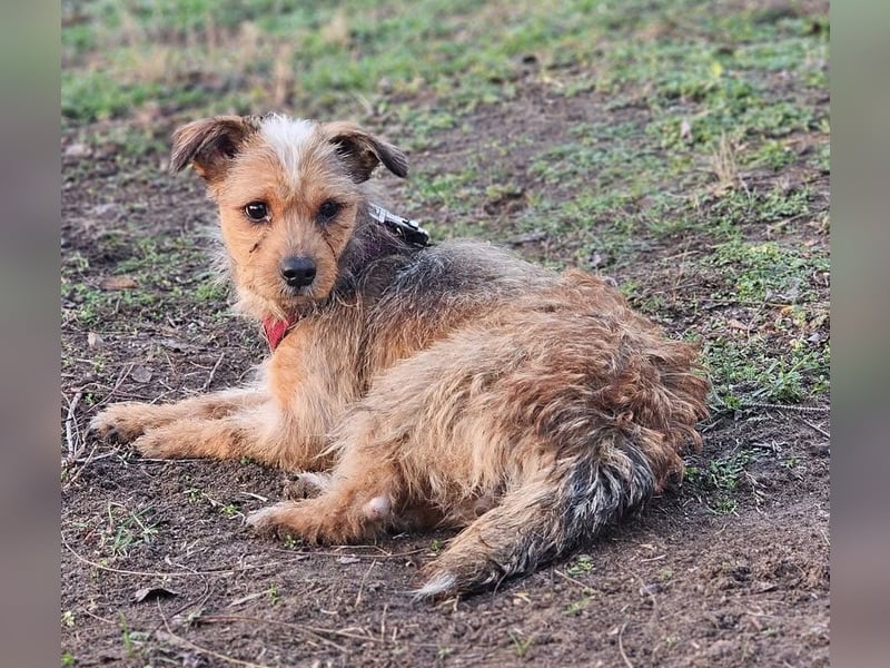 Neslin versucht alles richtig zu machen
