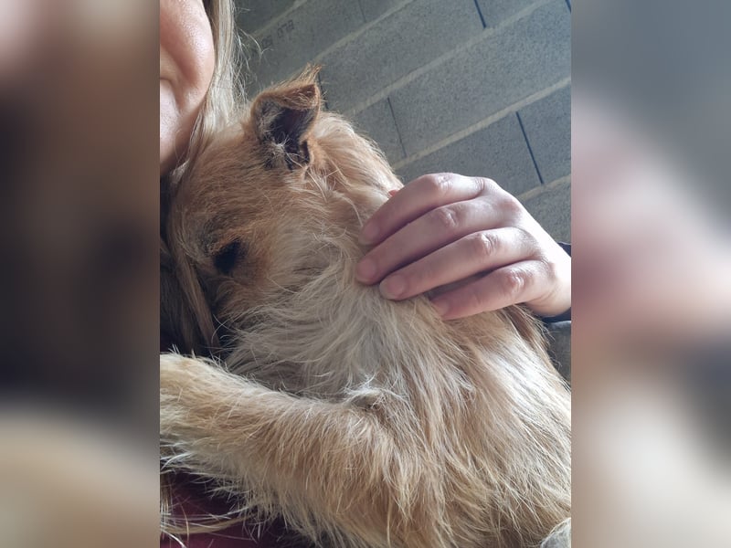 FLORI auf Pflege in D, 47574 Goch/NRW