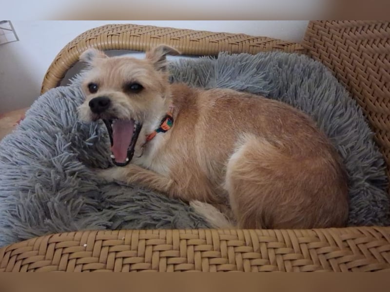 FLORI auf Pflege in D, 47574 Goch/NRW