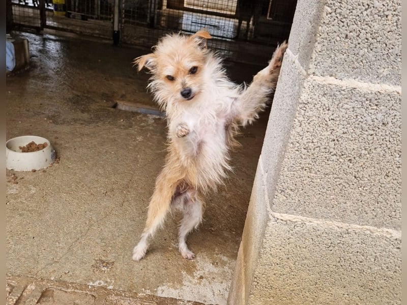 FLORI auf Pflege in D, 47574 Goch/NRW