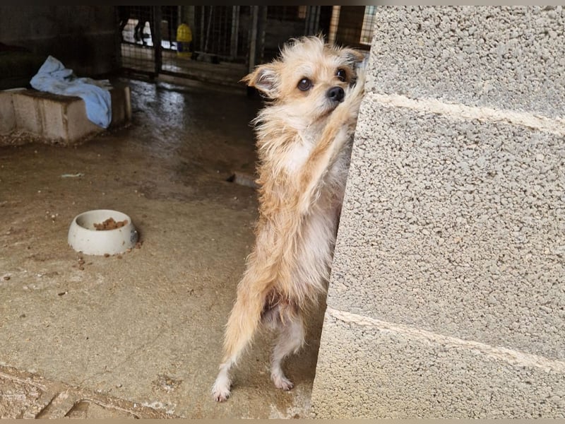 FLORI auf Pflege in D, 47574 Goch/NRW