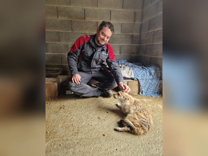 FLORI auf Pflege in D, 47574 Goch/NRW