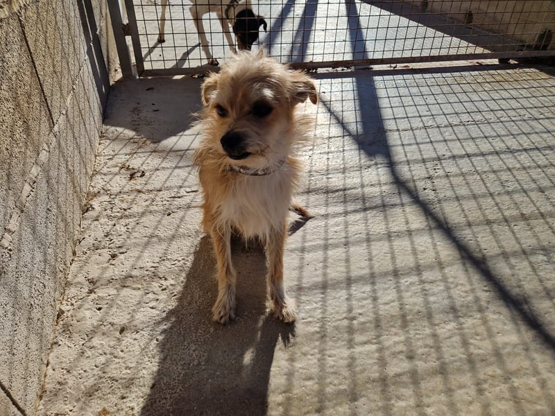 FLORI auf Pflege in D, 47574 Goch/NRW