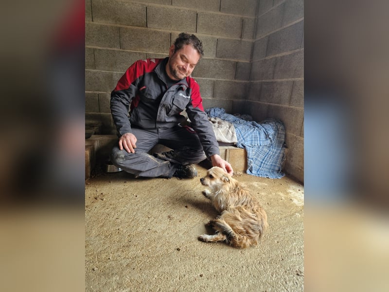 FLORI auf Pflege in D, 47574 Goch/NRW