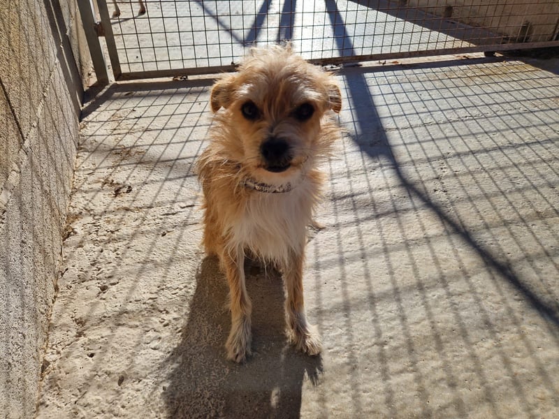 FLORI auf Pflege in D, 47574 Goch/NRW